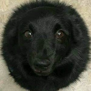 Meet your Posher, Averin